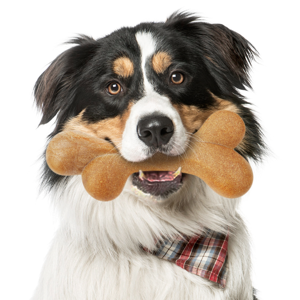safe dog chews for aggressive chewers